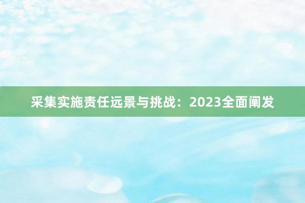 采集实施责任远景与挑战：2023全面阐发